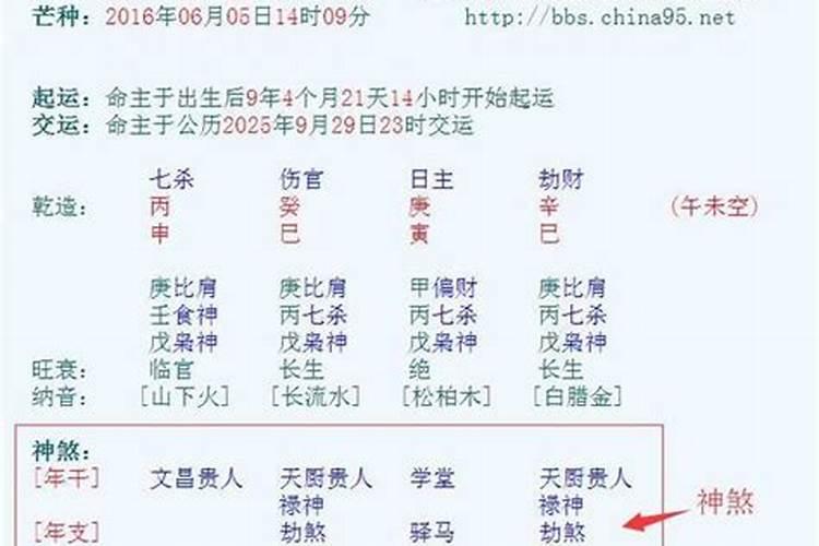 八字软是什么意思啊