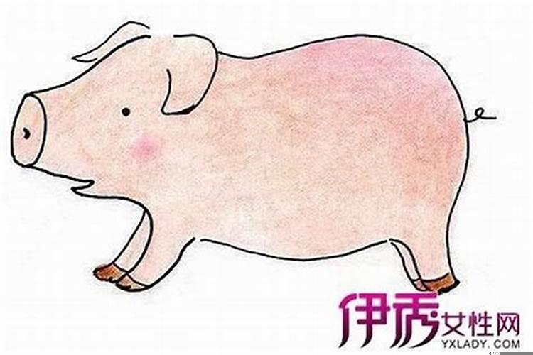 腊月的猪运势