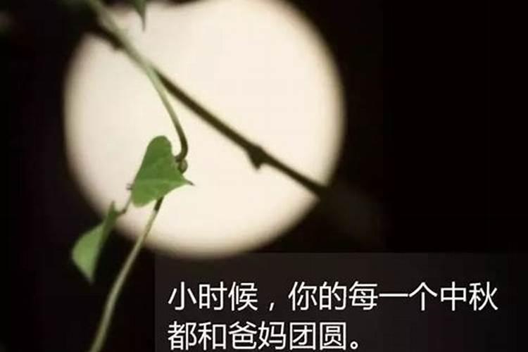 中秋节在哪里过的