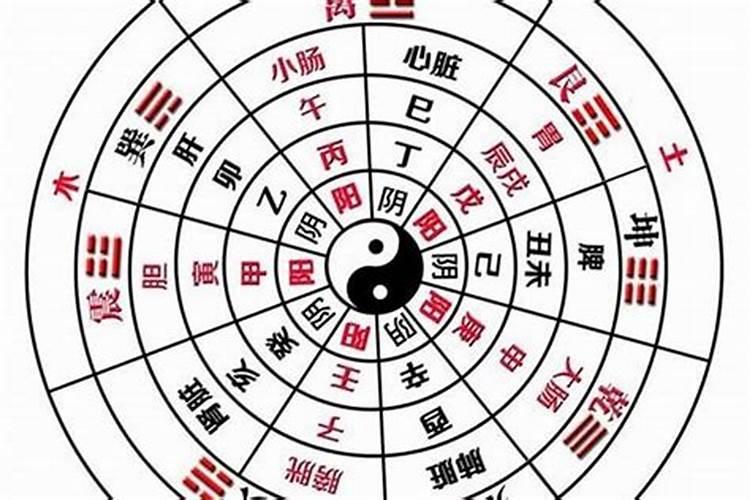 从八字看什么人适合看相算命