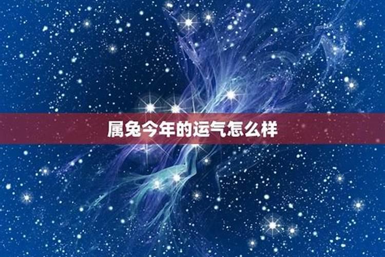 属兔的今年7月份运势怎么样