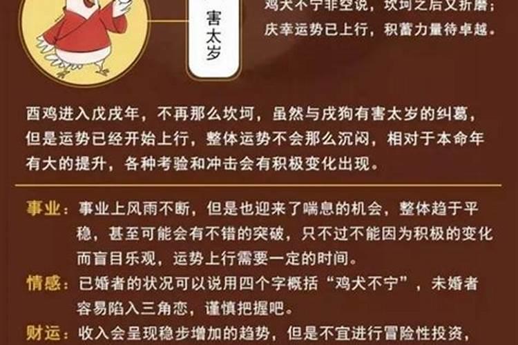 犯太岁两院之灾什么意思