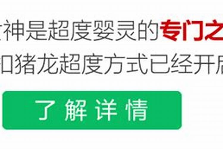 2020农历对冲生肖查询