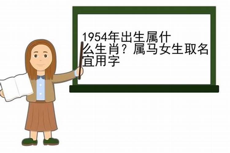 1954年出生属马的今年运势好吗