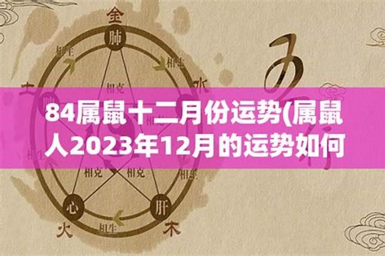 属鼠的12月运势如何