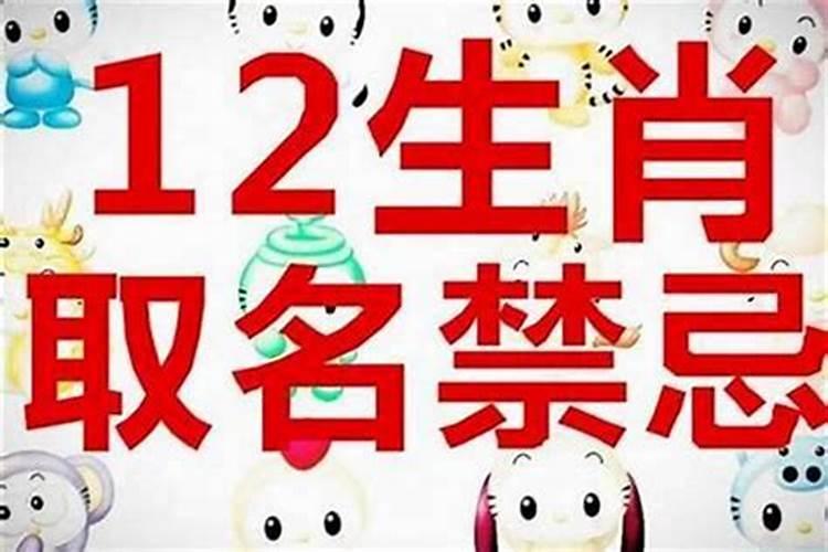 农历九月初九的鼠命运如何