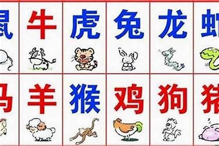 鸿字是属于五行属什么