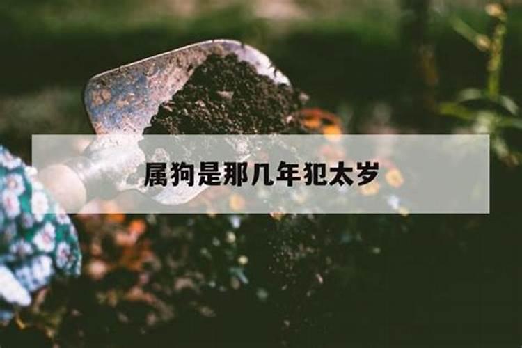 牛和合是什么字