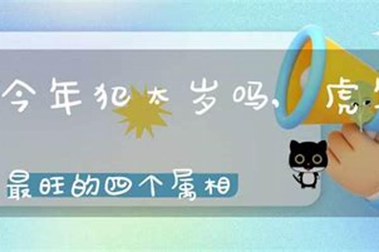 属狗和属猪合婚好不好