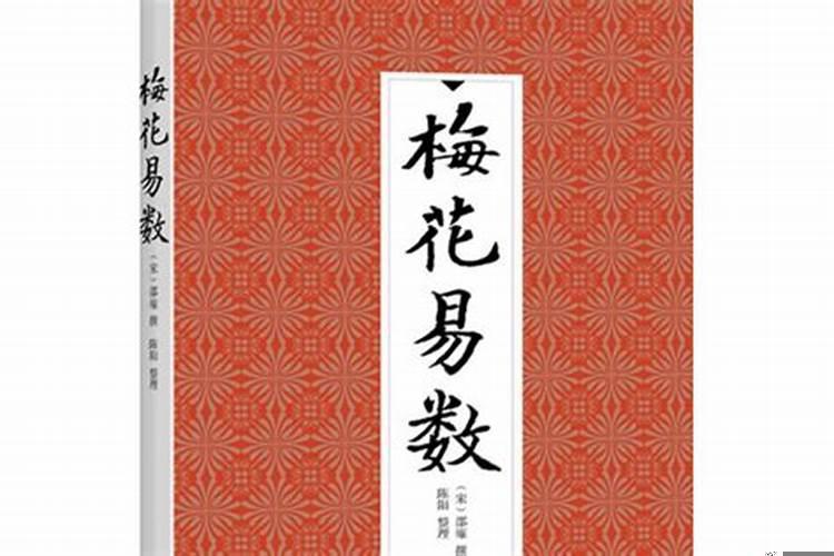 梅花易数与八字哪个好学