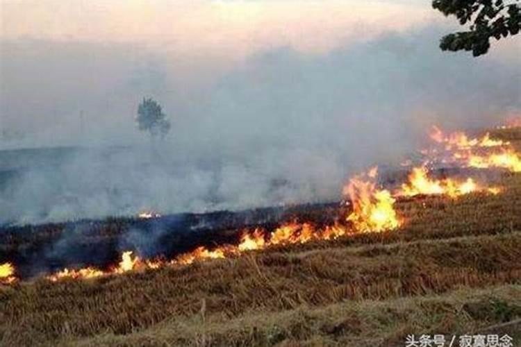 梦见坟着火了是什么征兆