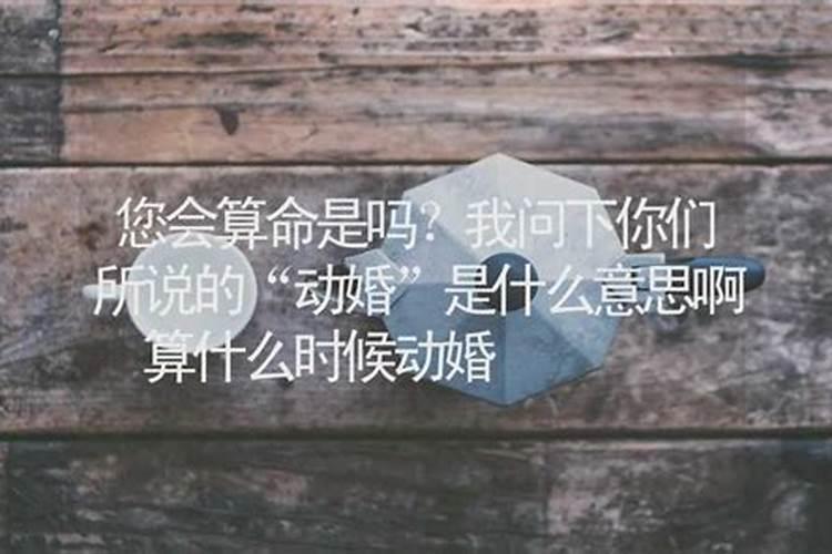 算命说没有婚姻什么意思