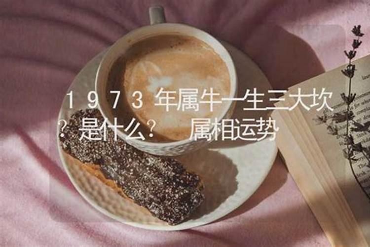 1973年出生的人一生运势