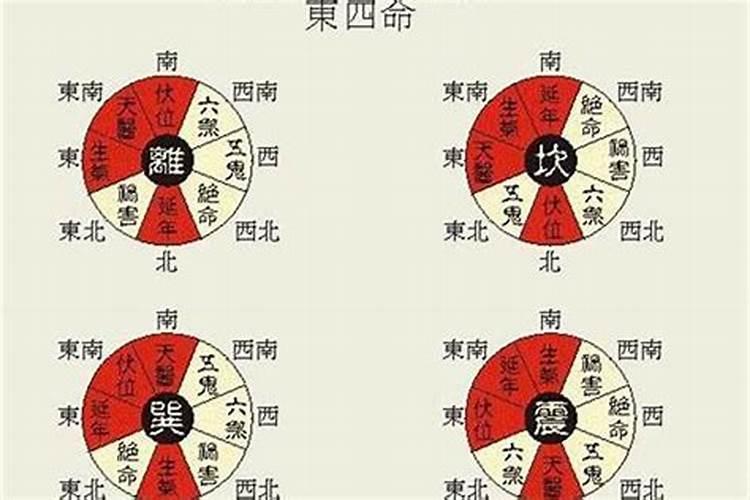 什么是东四宅和西四命？命主福元震宫属东四命是什么意思