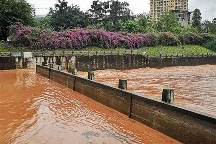 梦见滚滚洪水急流而下又下雨