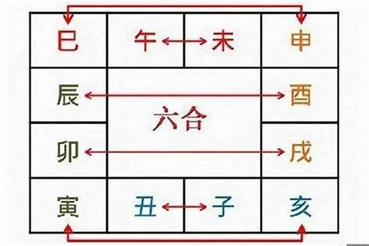 八字卯戌合什么意思