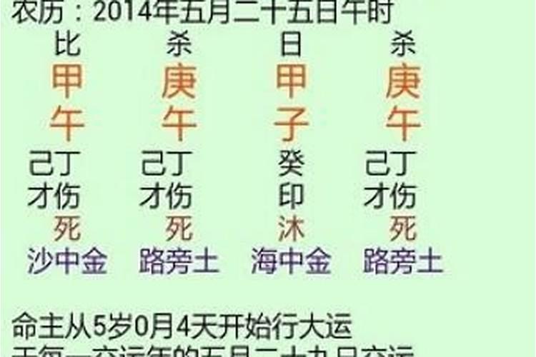 南方八字合婚绿色破解