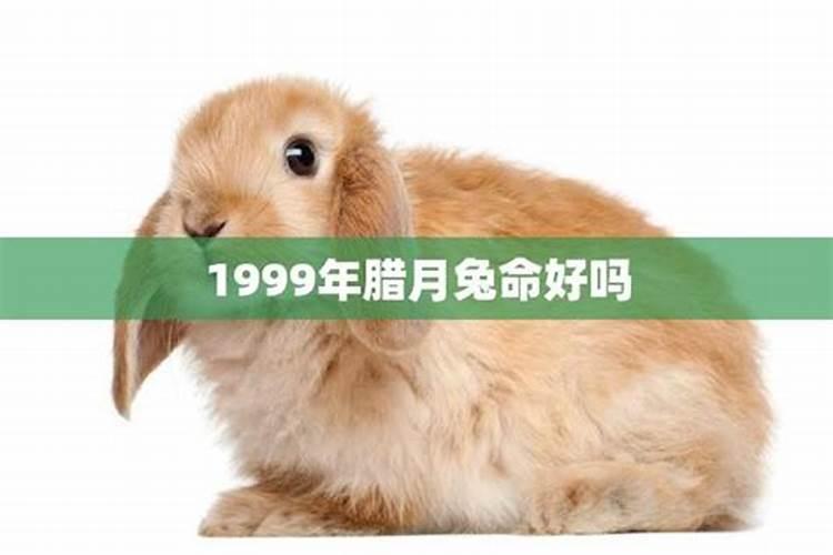 70年腊月十五生肖运势