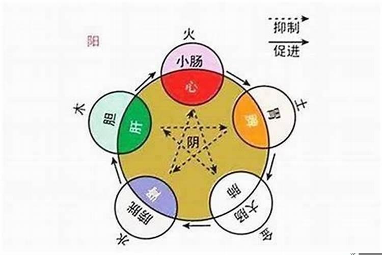 怎样看八字阴阳的属性？生辰八字怎么判断阴阳五行