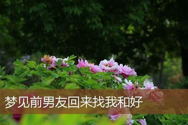 财神节出生的宝宝取名字大全