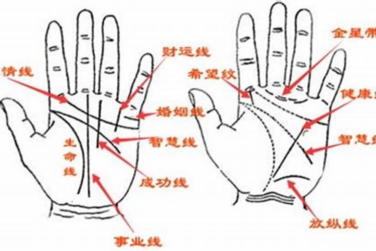 手相算姻缘准吗