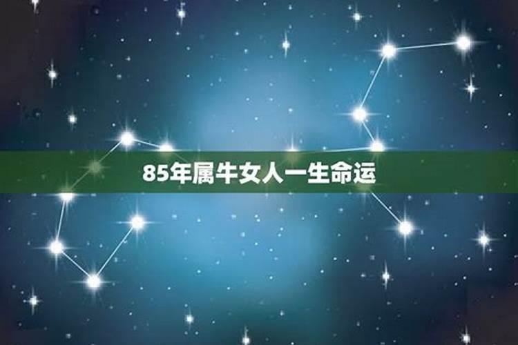 1968年属猴2021年怎么样