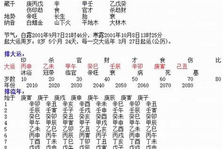 八字大运中的食是什么意思