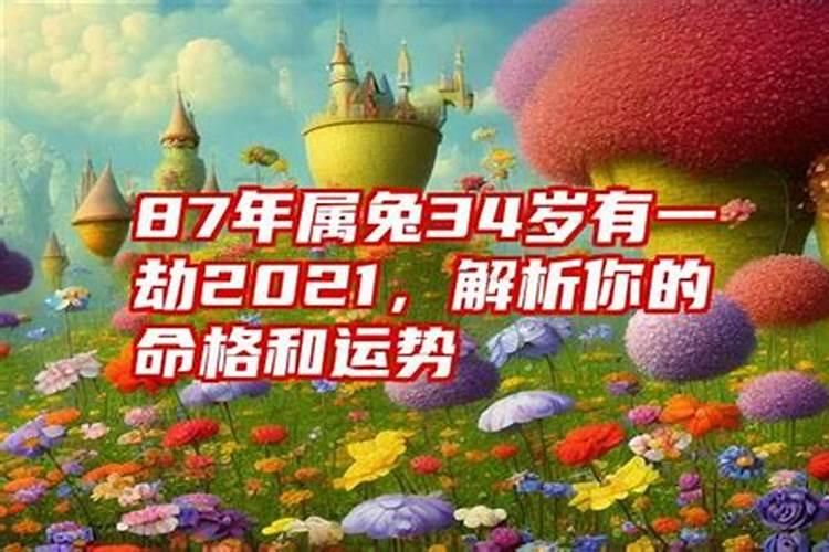 87属兔2023年最大的劫，属兔今年的运势怎么样