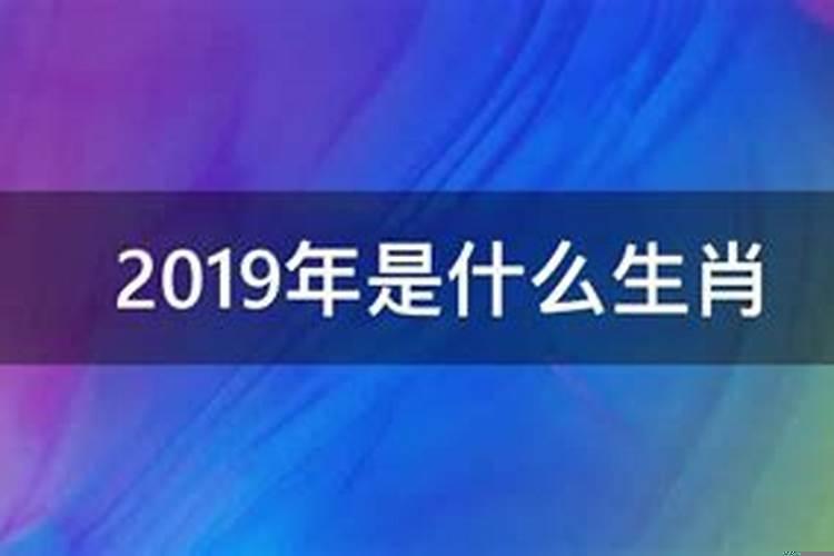 2023年是什么生肖年什么命？2023年是闰年吗？