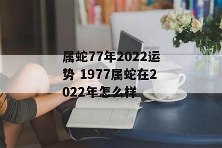 1953年男蛇在2023年的运势运程