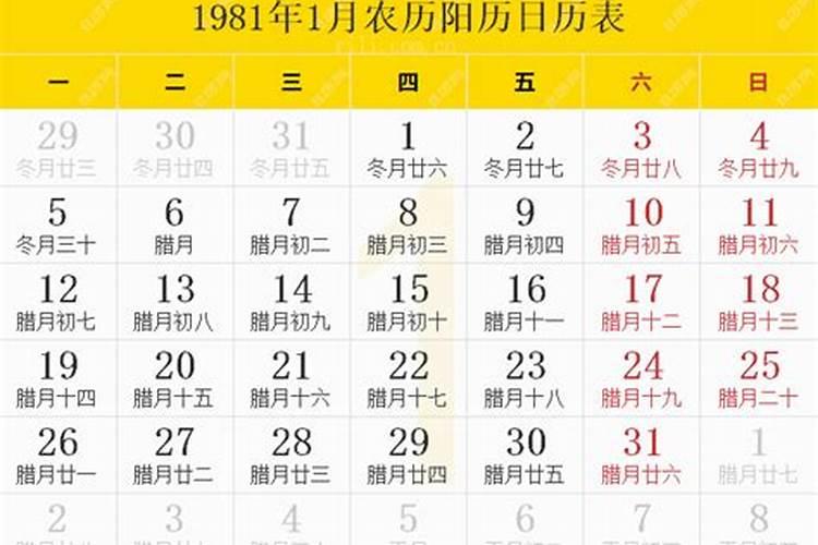 1981年什么时候立春