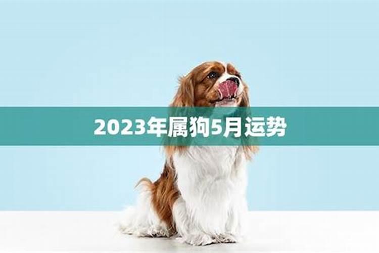 86年十月属虎的2021年运势怎么样