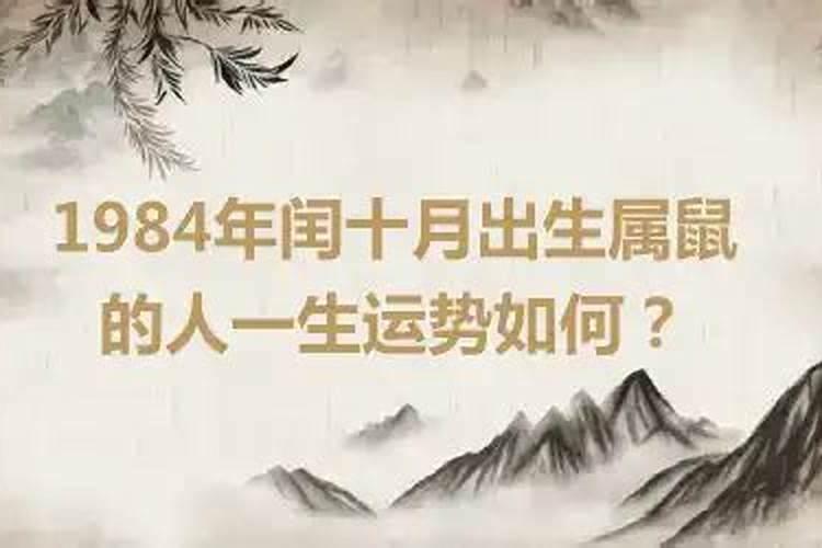 属鼠84年出生的一生运势