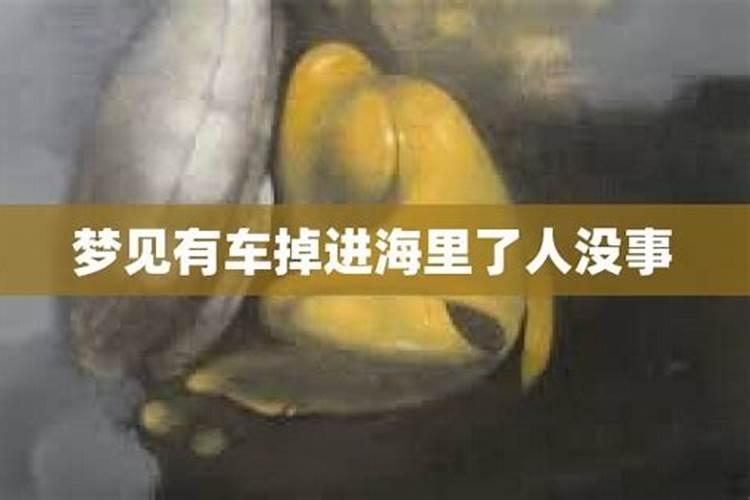 梦见人掉进大海里游上岸