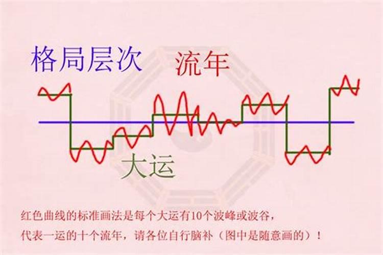 大运流年看天干还是地支