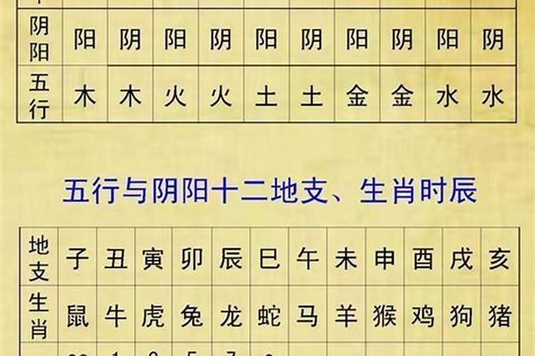 八字缺木水又多怎么办