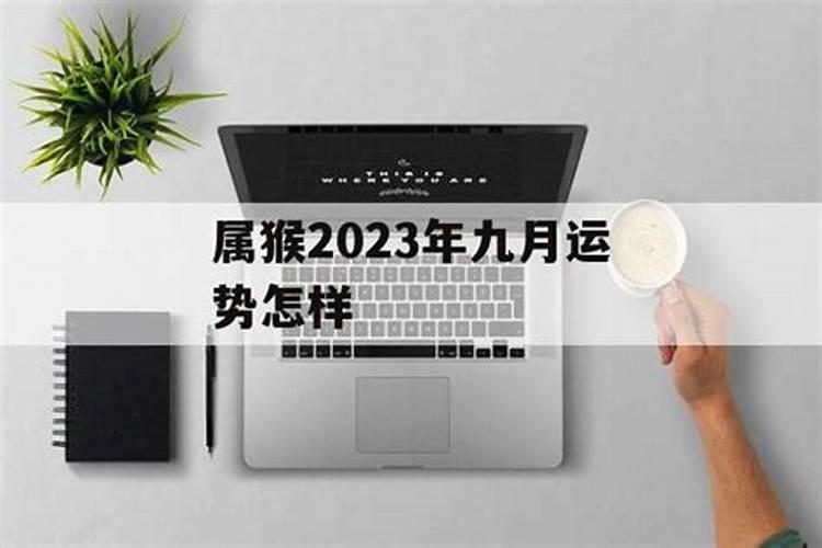 1962年虎生肖2023年运程