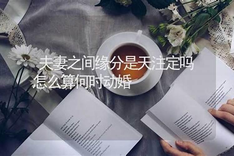 夫妻都是缘分吗？婚姻是命中注定的吗，科学解释一下