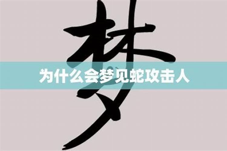 2月2龙抬头放烟花好不好