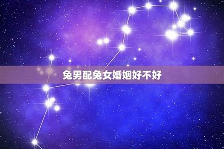 俩个兔生日不过百天合婚吗