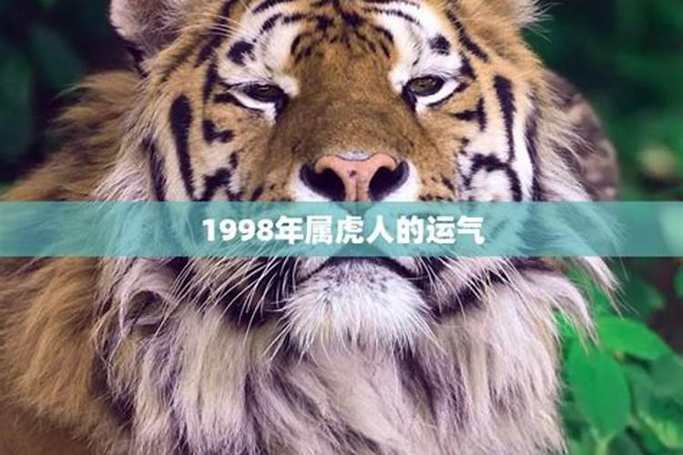 1998年出生人的运势如何