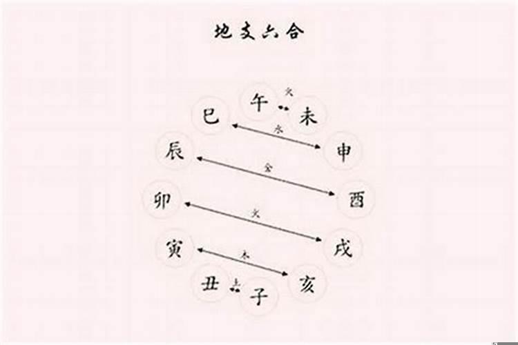 八字巳申合代表什么