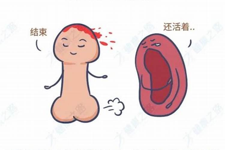 梦见女人的下面代表什么