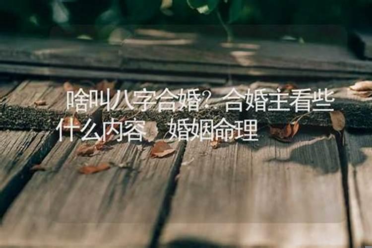 八字合婚应该看些什么