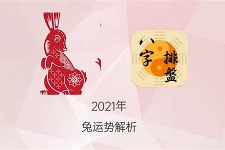 属兔的今年分月运势