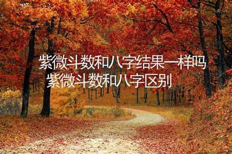 八字合婚准还是紫薇准