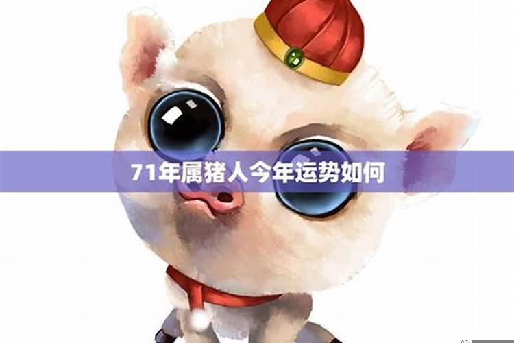 猪人今年事业运势