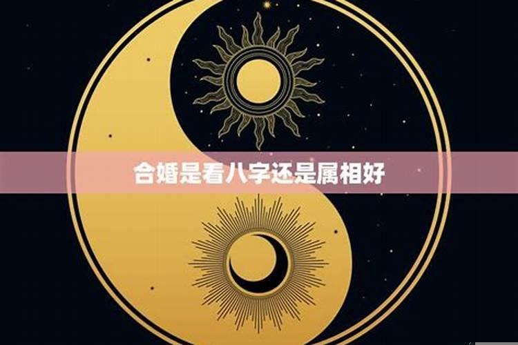 合婚是星座准还是八字准