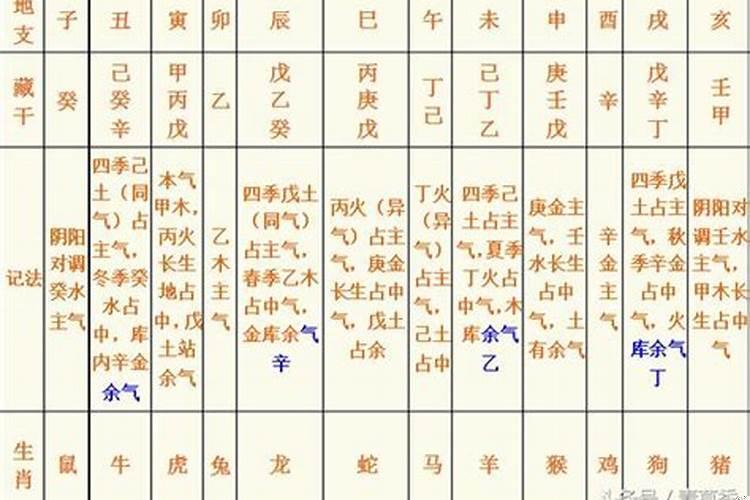 八字中辰土和什么合