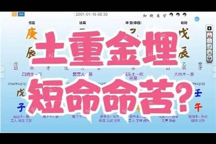 算命八字短什么意思